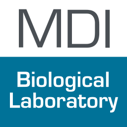 MDI Biological Laboratory